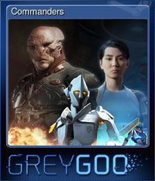 Commanders