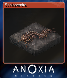 Series 1 - Card 3 of 12 - Scolopendra