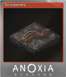 Series 1 - Card 3 of 12 - Scolopendra