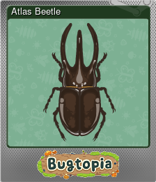 Series 1 - Card 1 of 6 - Atlas Beetle