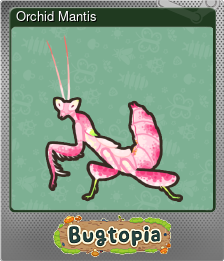 Series 1 - Card 2 of 6 - Orchid Mantis