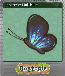 Series 1 - Card 3 of 6 - Japanese Oak Blue