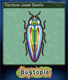 Rainbow Jewel Beetle