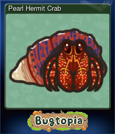 Pearl Hermit Crab