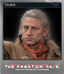 Series 1 - Card 2 of 7 - Ocelot