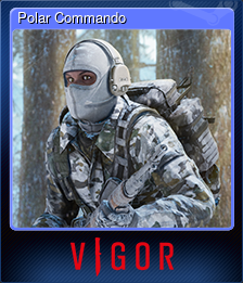 Polar Commando