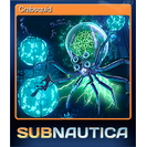 Crabsquid