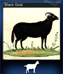 Black Goat