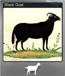 Series 1 - Card 1 of 5 - Black Goat