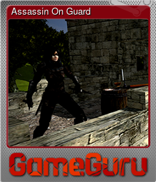 Series 1 - Card 3 of 10 - Assassin On Guard