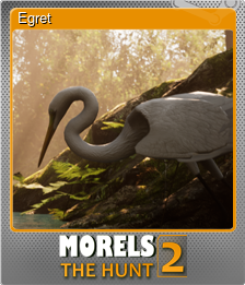 Series 1 - Card 2 of 9 - Egret