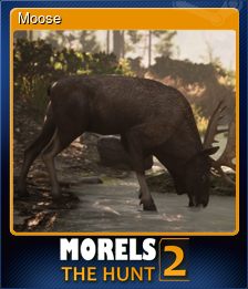 Series 1 - Card 4 of 9 - Moose