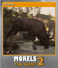 Series 1 - Card 4 of 9 - Moose