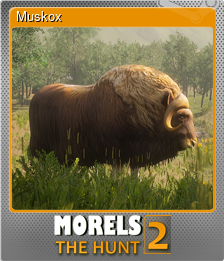 Series 1 - Card 7 of 9 - Muskox