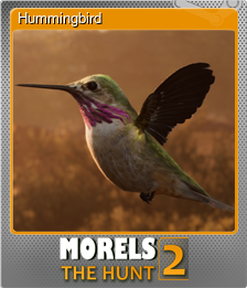Series 1 - Card 5 of 9 - Hummingbird