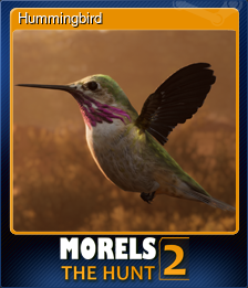 Series 1 - Card 5 of 9 - Hummingbird