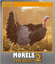 Series 1 - Card 3 of 9 - Turkey