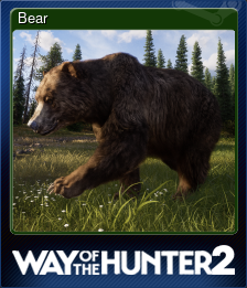 Series 1 - Card 1 of 10 - Bear