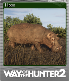 Series 1 - Card 7 of 10 - Hippo