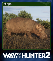Series 1 - Card 7 of 10 - Hippo