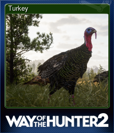 Series 1 - Card 9 of 10 - Turkey