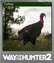 Series 1 - Card 9 of 10 - Turkey