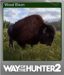 Series 1 - Card 2 of 10 - Wood Bison