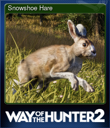 Series 1 - Card 6 of 10 - Snowshoe Hare