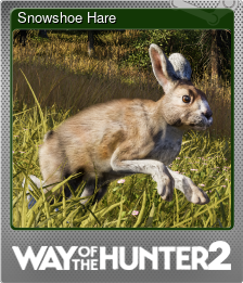 Series 1 - Card 6 of 10 - Snowshoe Hare