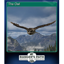 The Owl