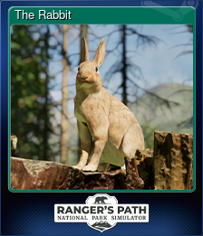 Series 1 - Card 6 of 7 - The Rabbit