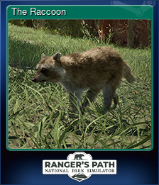 Series 1 - Card 5 of 7 - The Raccoon