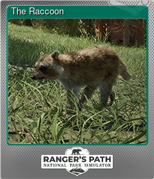 Series 1 - Card 5 of 7 - The Raccoon
