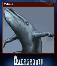 Whale