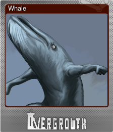 Series 1 - Card 6 of 6 - Whale