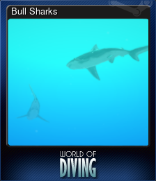 Series 1 - Card 3 of 10 - Bull Sharks