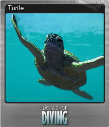 Series 1 - Card 5 of 10 - Turtle