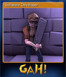 Series 1 - Card 3 of 13 - Software Developer