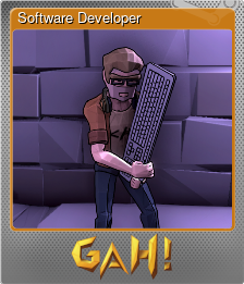 Series 1 - Card 3 of 13 - Software Developer