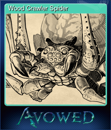 Wood Crawler Spider