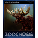 Muscipalamalces