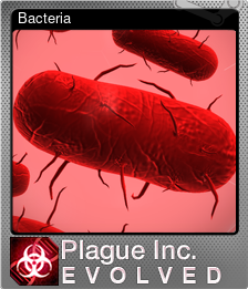 Series 1 - Card 1 of 9 - Bacteria