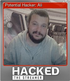 Series 1 - Card 4 of 5 - Potential Hacker: Ali