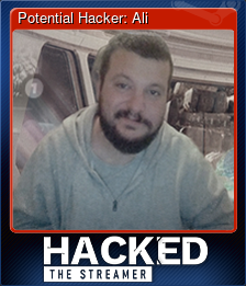 Series 1 - Card 4 of 5 - Potential Hacker: Ali