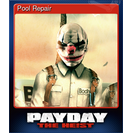 Pool Repair