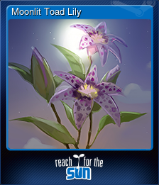 Moonlit Toad Lily