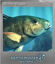 Series 1 - Card 7 of 15 - Mutton Snapper