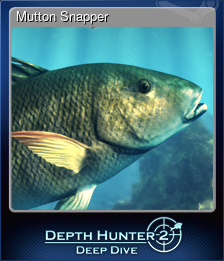 Series 1 - Card 7 of 15 - Mutton Snapper