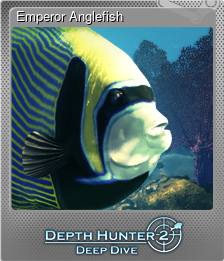 Series 1 - Card 4 of 15 - Emperor Anglefish