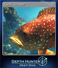 Coral Grouper